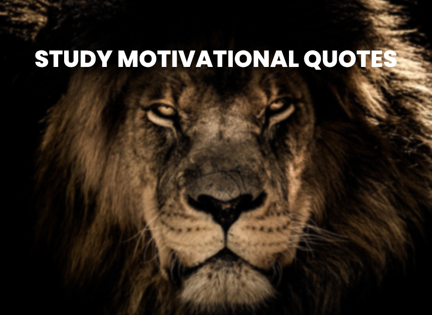 study motivational quotes